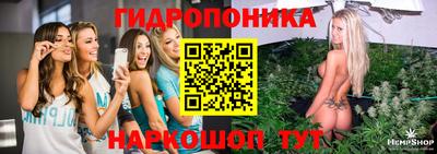 стаф Ирбит