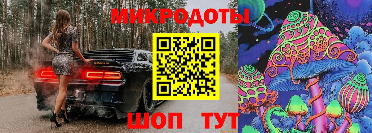 Галлюциногенные грибы Psilocybe Лыткарино