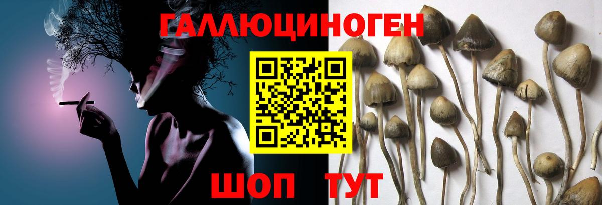 Галлюциногенные грибы Cubensis  Псилоцибиновые грибы прущие грибы  Вход с VPN  Лыткарино 